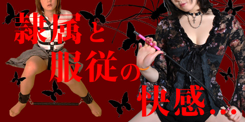 六本木　SMホテル（SMルーム）ご利用コース専門　会員制SMクラブ　ザ・スレイブ